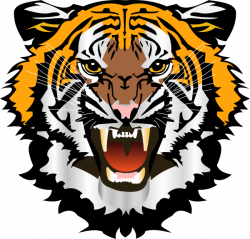 28+ Collection of Transparent Tiger Clipart | High quality, free ...