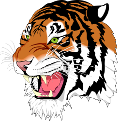 Tiger Head Clipart at GetDrawings.com | Free for personal use Tiger ...