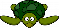 Cartoon Turtles (44+)