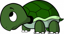 28+ Collection of Turtle Drawing Cartoon | High quality, free ...