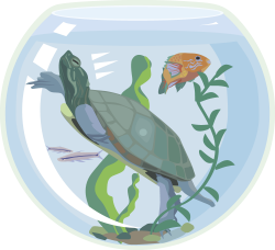 Free Turtle Tank Cliparts, Download Free Clip Art, Free Clip Art on ...