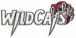 Free Wildcat Clipart Free Download Clip Art - carwad.net