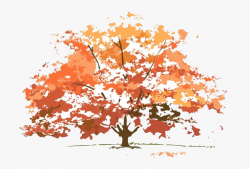 Fall Tree Colors Maple Nature Clipart Transparent Png ...