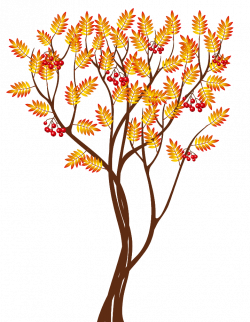 Transparent Autumn Tree PNG Clipart Image | Gallery Yopriceville ...