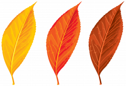 Download AUTUMN Free PNG transparent image and clipart