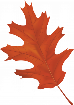 Brown Autumn Leaf PNG Clipart Image | Gallery Yopriceville - High ...