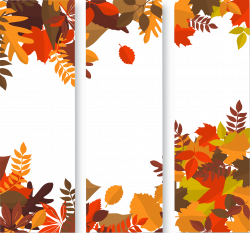 Autumn Web banner Clip art - Yellow maple leaf material 2799*2615 ...