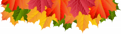 Fall Leaves Border Transparent Clip Art Image | Gallery ...
