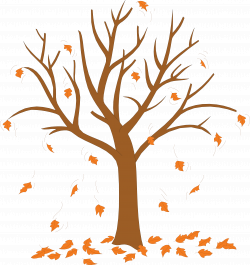 28+ Collection of Tree With Leaves Falling Clipart | High quality ...