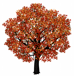 Red Maple Tree PNG Clipart Picture | Gallery Yopriceville - High ...