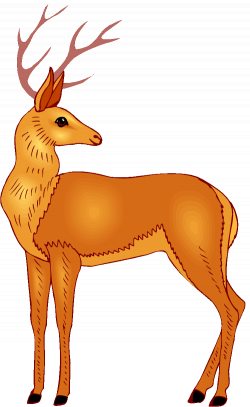 28+ Collection of Deer Eyes Clipart | High quality, free cliparts ...