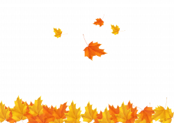 Autumn Leaf Clip art - Fall maple leaves background image 3508*2480 ...