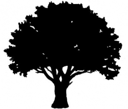 Free download Oak Tree Outline Clipart for your creation ...
