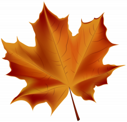 Beautiful Red Autumn Leaf Transparent PNG Clip Art Image | Gallery ...