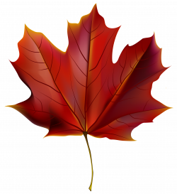 Beautiful Red Autumn Leaf PNG Clipart Image | Gallery Yopriceville ...