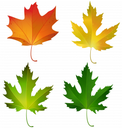 Fall Maple Leaves Set PNG Decorative Clipart Image | Gallery ...