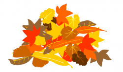 fall-leaves-pile-png-what-are-the-colors-of-clipart-U6nVOd ...
