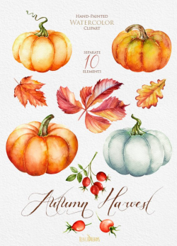 Pumpkin watercolor clipart, Halloween, Autumn, Briar, Yellow ...