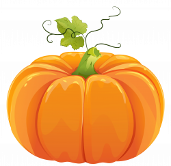 28+ Collection of Transparent Pumpkin Clipart | High quality, free ...