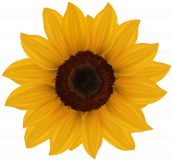 Sunflower Clip Art & Sunflower Clipart Images #853 - OnClipart