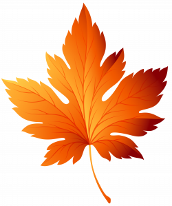 Usa autumn leaves clipart - Clipground