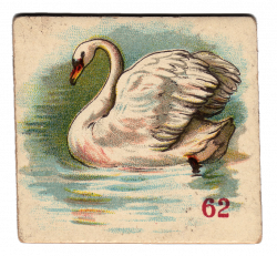 Free Victorian Clip Art - Beautiful Swan - The Graphics Fairy