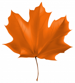 Beautiful Autumn Leaf PNG Clipart Image | Gallery Yopriceville ...