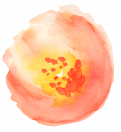 Free Fall Watercolor Floral Clip Art- So Pretty! - Free Pretty ...