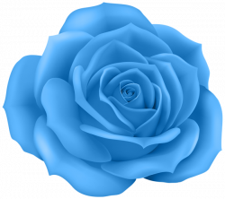 Rose Blue Clip Art PNG Image | Gallery Yopriceville - High-Quality ...