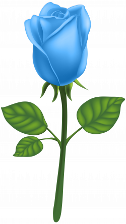 Blue Deco Rose PNG Clip Art Image | Gallery Yopriceville - High ...