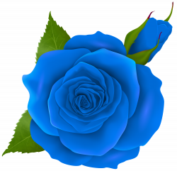 Blue Rose and Bud Transparent PNG Clip Art | Gallery Yopriceville ...