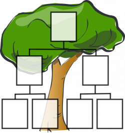 Family Tree Clip Art at Clker.com - vector clip art online, royalty ...