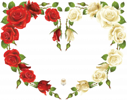 Large Transparent Heart Frame with Red and White Roses | Gallery ...
