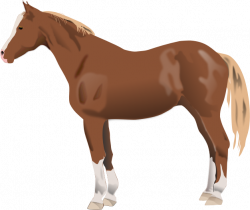 Download Horse Clip Art ~ Free Clipart of Horses: Mares, Stallions ...