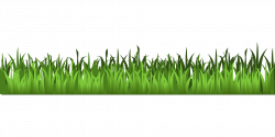Meadow Green Grass Clipart | Isolated Stock Photo by noBACKS.com