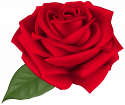 Rose Red Transparent PNG Clip Art Image | Gallery Yopriceville ...