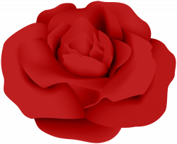 Red Rose PNG Transparent Clip Art | Gallery Yopriceville - High ...