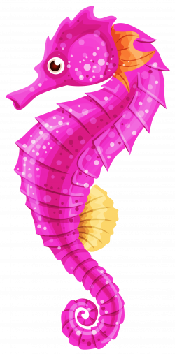 Seahorse PNG images free download
