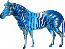 Aquamarine Zebra Icons PNG - Free PNG and Icons Downloads