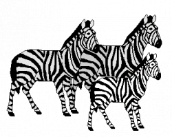 Zebra clip art family of three zebras 2 clip art of zebras ...