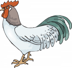 Farm Rooster Clip Art at Clker.com - vector clip art online, royalty ...