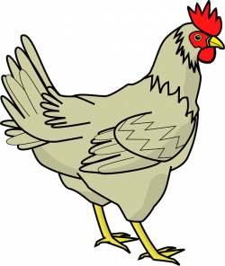 cartoon-farm-bird-hen-chicken-chickens-poultry.png (540×640 ...