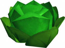 Cabbage (2017 Easter event) | RuneScape Wiki | FANDOM powered by Wikia