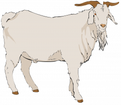 28+ Collection of A Goat Clipart | High quality, free cliparts ...