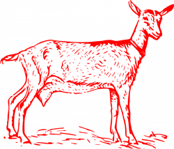 Red Goat Outline Clip Art at Clker.com - vector clip art online ...