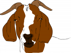 boer goat clip art | Boer Goat Drawings http://tha-baist.deviantart ...