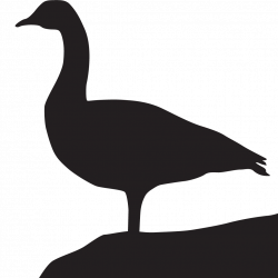 Canada Goose Silhouette at GetDrawings.com | Free for personal use ...