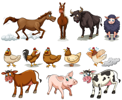 Cattle Chicken Sheep Domestic pig Horse - Farm animals 2000*1640 ...