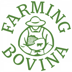 Farming Bovina