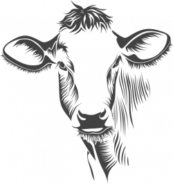 National Cattlemen's Foundation - W.D. Farr Scholarship